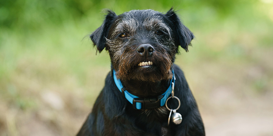 Ted - seen my briefcase?